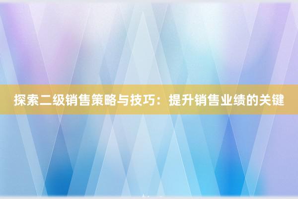 探索二级销售策略与技巧：提升销售业绩的关键