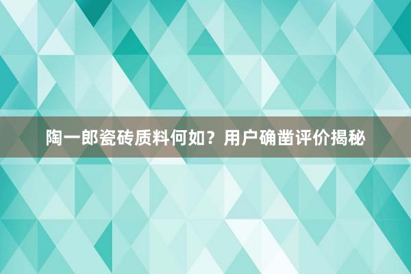 陶一郎瓷砖质料何如？用户确凿评价揭秘